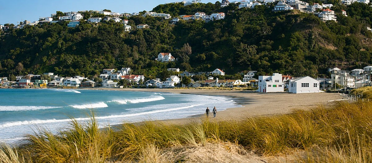 Lyall Bay beach with golden dunes, breaking waves and hillside houses, Wellington