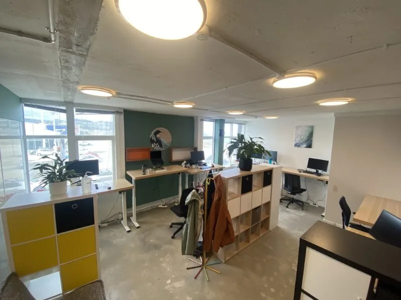 Bright coworking space at Lyall Bay Work Hub in Wellington featuring hot desks, window views, storage cubbies, indoor plants, and modern office workstations with natural light.